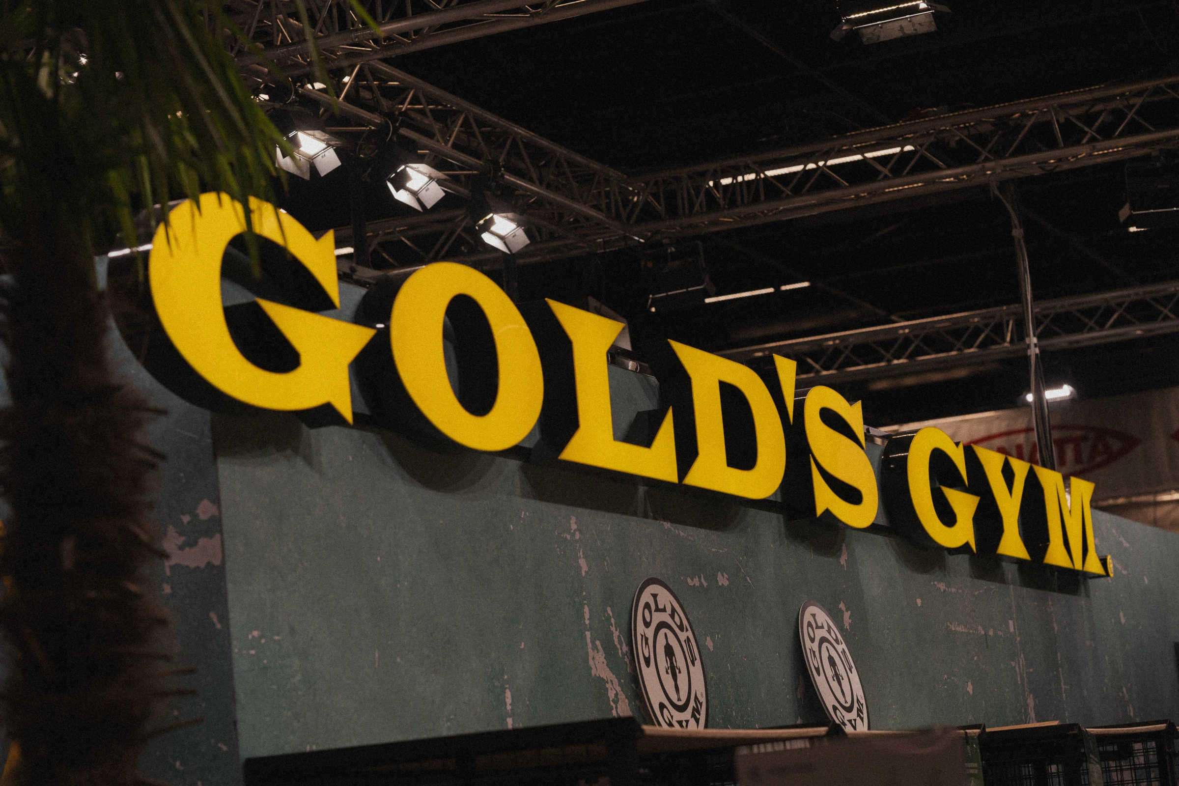 FIBO2024 50